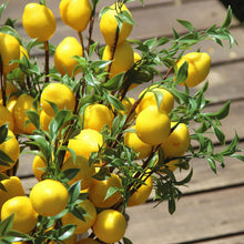 Load image into Gallery viewer, Artificial Lemon Bunch Imitation Plants Realistic Vine 50cm Wedding Home Decor Party Fruit Props