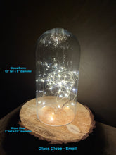 Load image into Gallery viewer, Glass Cloche - Globe