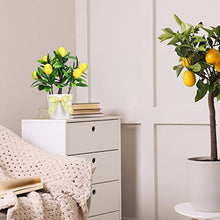 Load image into Gallery viewer, Jexine 3 Set Lemon Decor Lemon Tiered Tray Decor Artificial Lemon Plant Farmhouse Home Decor Mini Fake Plants Mini Vases Tiered Tray Greenery Accessory