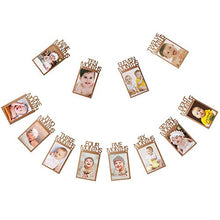 Load image into Gallery viewer, OOTSR 1st Birthday Photo Banner Growth Record 1-12 Month Photo Prop for First Birthday Party Bunting Decor