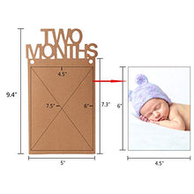 Load image into Gallery viewer, OOTSR 1st Birthday Photo Banner Growth Record 1-12 Month Photo Prop for First Birthday Party Bunting Decor