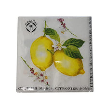 Load image into Gallery viewer, 40-ct 3-ply 5x5 Lemon Napkins Lemon Paper Napkins Lemon Napkins Paper Lemon Cocktail Napkins Lemon Dessert Napkins Spring Paper Napkins Summer Paper Napkins Mother's Day Napkins Father's Day Napkins