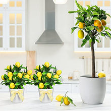 Load image into Gallery viewer, Jexine 3 Set Lemon Decor Lemon Tiered Tray Decor Artificial Lemon Plant Farmhouse Home Decor Mini Fake Plants Mini Vases Tiered Tray Greenery Accessory