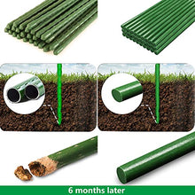 Load image into Gallery viewer, Garden Stakes 48 inch 30 Pack Solid Green Glass Fiber Plant Support Rod Tomato Trellis Stakes