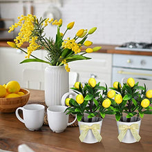 Load image into Gallery viewer, Jexine 3 Set Lemon Decor Lemon Tiered Tray Decor Artificial Lemon Plant Farmhouse Home Decor Mini Fake Plants Mini Vases Tiered Tray Greenery Accessory