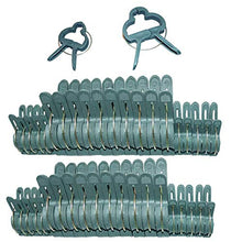 Load image into Gallery viewer, HAILI 40 Pcs Plant Support Clips,Flower and Vine,Garden Tomato Plant Support Clips for Supporting Stems,Vines Grow Upright Climbing,Tool for Straightening,Tomato Cage,Trellis(2 Sizes in one Pack)