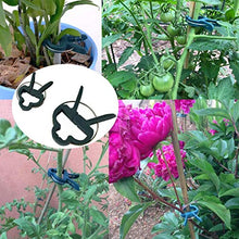 Load image into Gallery viewer, HAILI 40 Pcs Plant Support Clips,Flower and Vine,Garden Tomato Plant Support Clips for Supporting Stems,Vines Grow Upright Climbing,Tool for Straightening,Tomato Cage,Trellis(2 Sizes in one Pack)