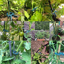 Load image into Gallery viewer, HAILI 40 Pcs Plant Support Clips,Flower and Vine,Garden Tomato Plant Support Clips for Supporting Stems,Vines Grow Upright Climbing,Tool for Straightening,Tomato Cage,Trellis(2 Sizes in one Pack)