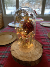 Load image into Gallery viewer, Glass Cloche -  Globe
