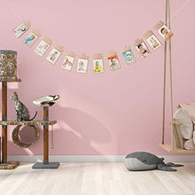 Load image into Gallery viewer, OOTSR 1st Birthday Photo Banner Growth Record 1-12 Month Photo Prop for First Birthday Party Bunting Decor
