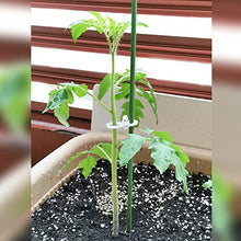 Load image into Gallery viewer, Garden Stakes 48 inch 30 Pack Solid Green Glass Fiber Plant Support Rod Tomato Trellis Stakes
